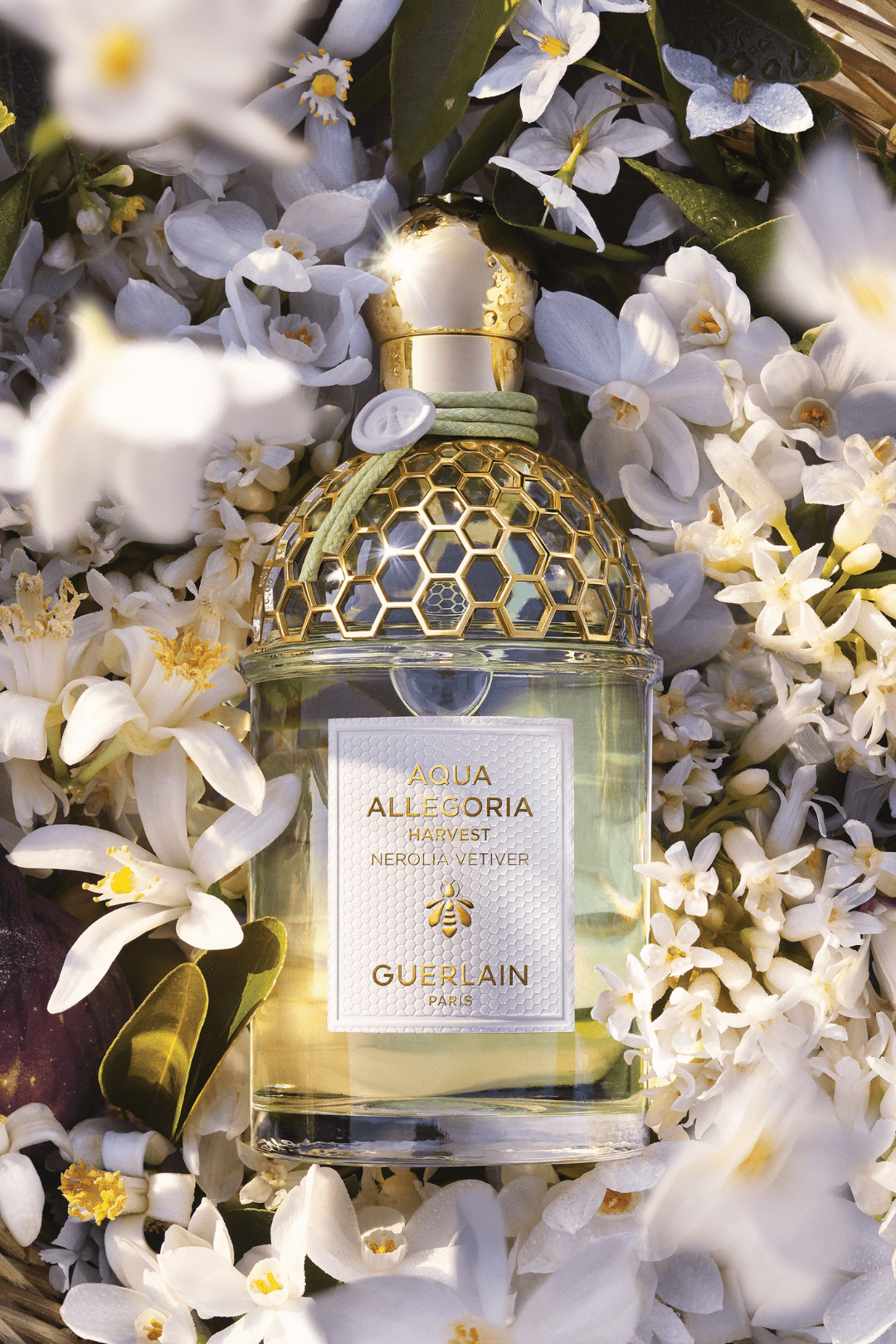 Guerlain Aqua Allegoria - Nerolia Vetiver Harvest