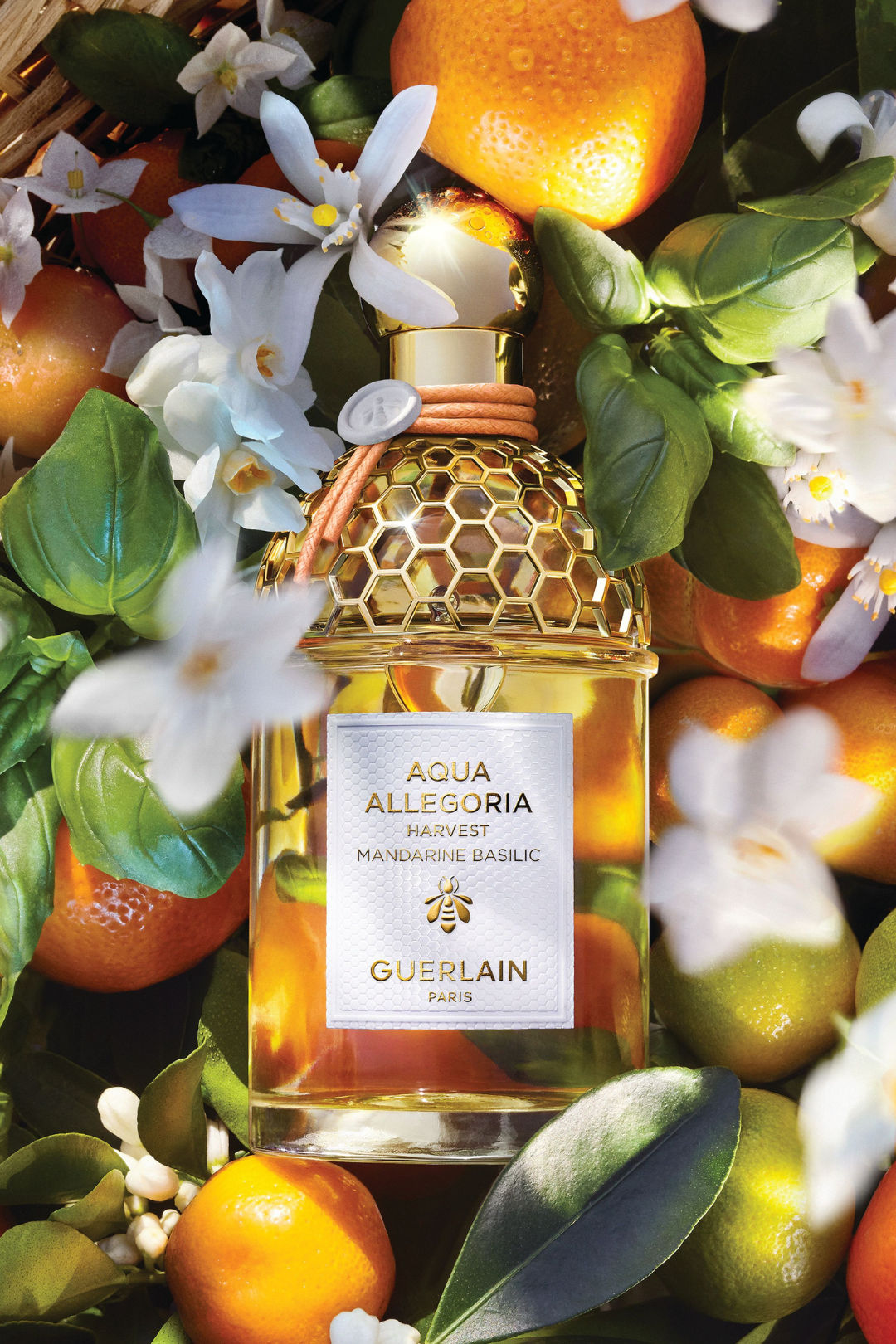 Guerlain Aqua Allegoria - Mandarine Basilic Harvest